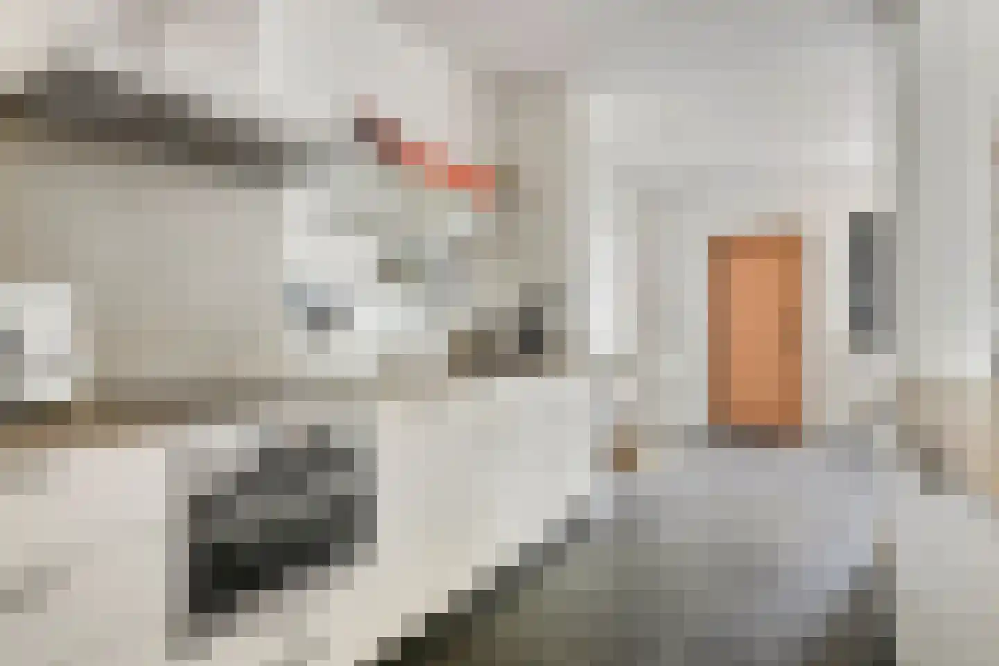 Liniestraat 303 Hulst thumbnail 14