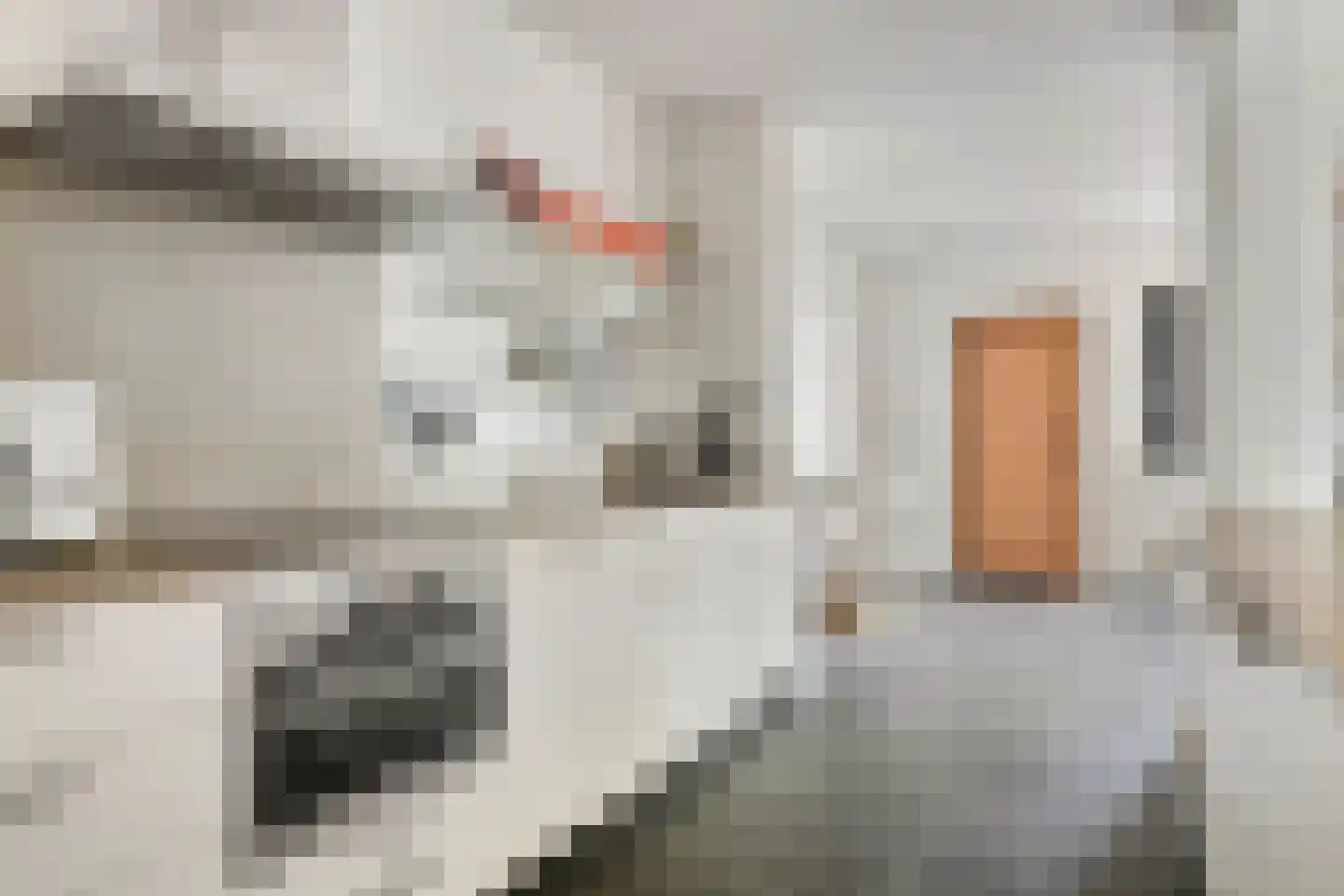 Liniestraat 303 Hulst thumbnail 15