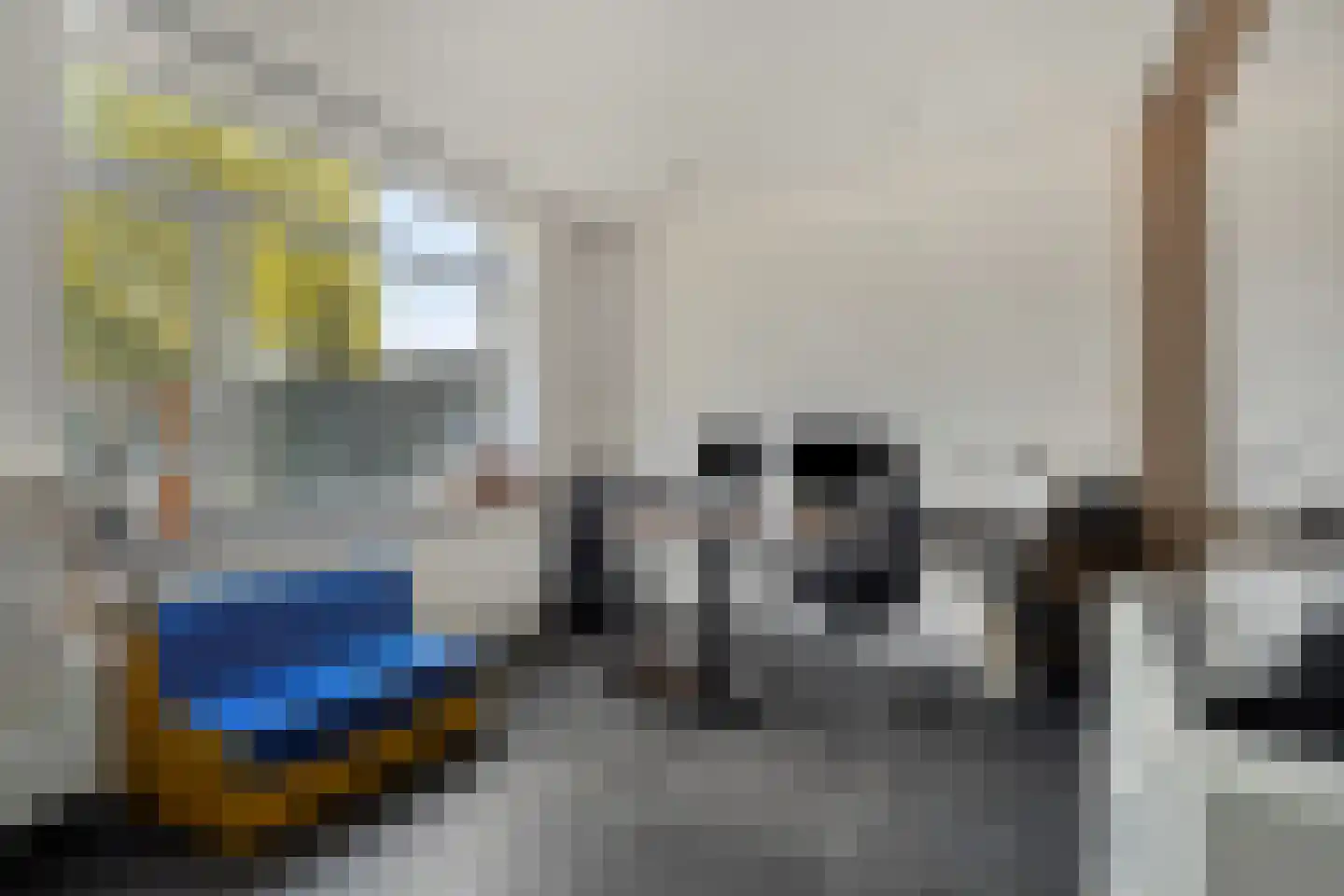 Liniestraat 303 Hulst thumbnail 18