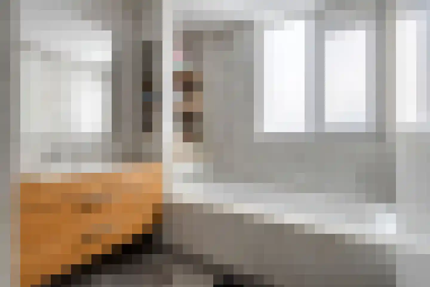 Liniestraat 303 Hulst thumbnail 23