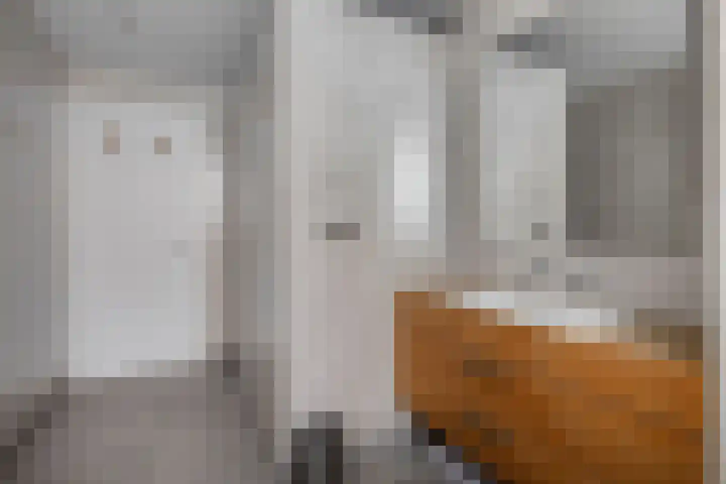 Liniestraat 303 Hulst thumbnail 24