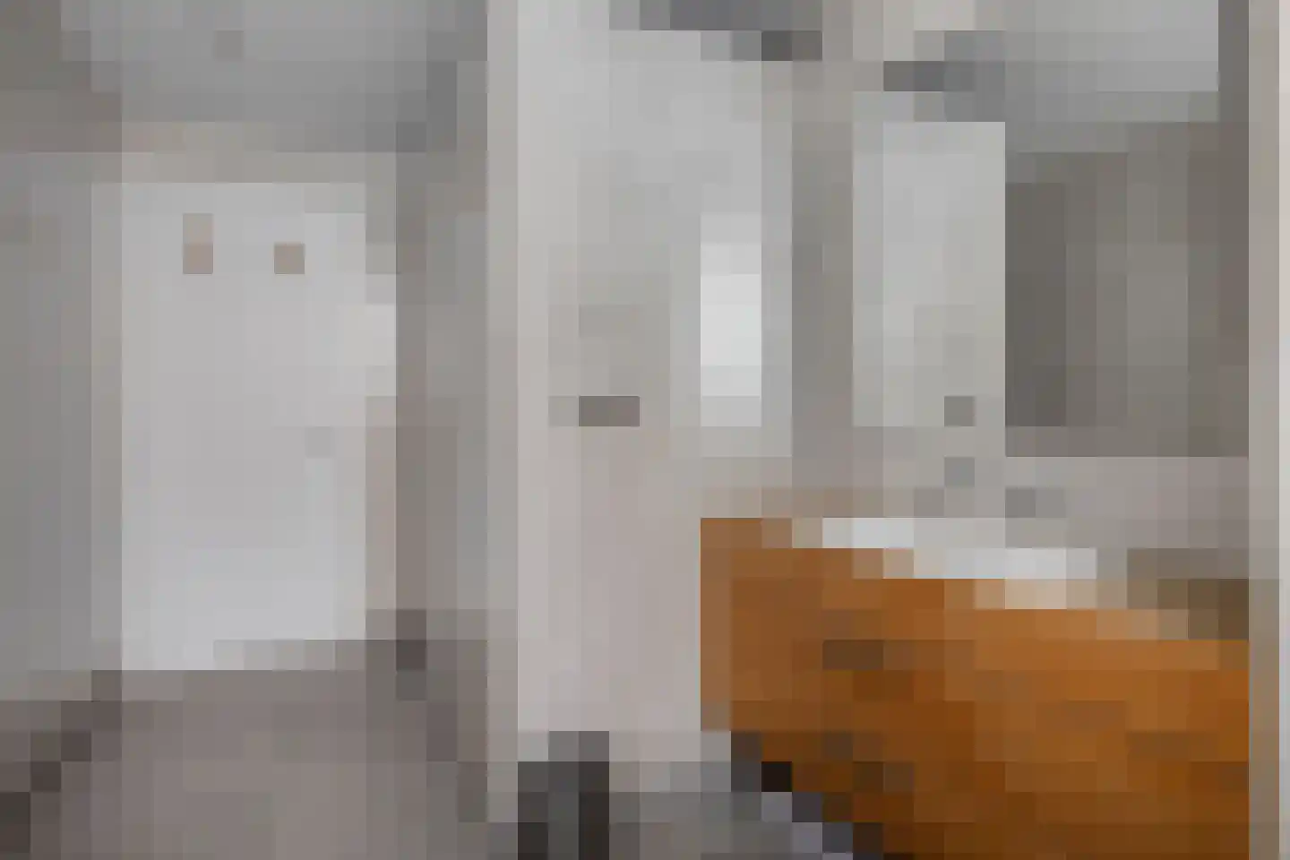 Liniestraat 303 Hulst thumbnail 24