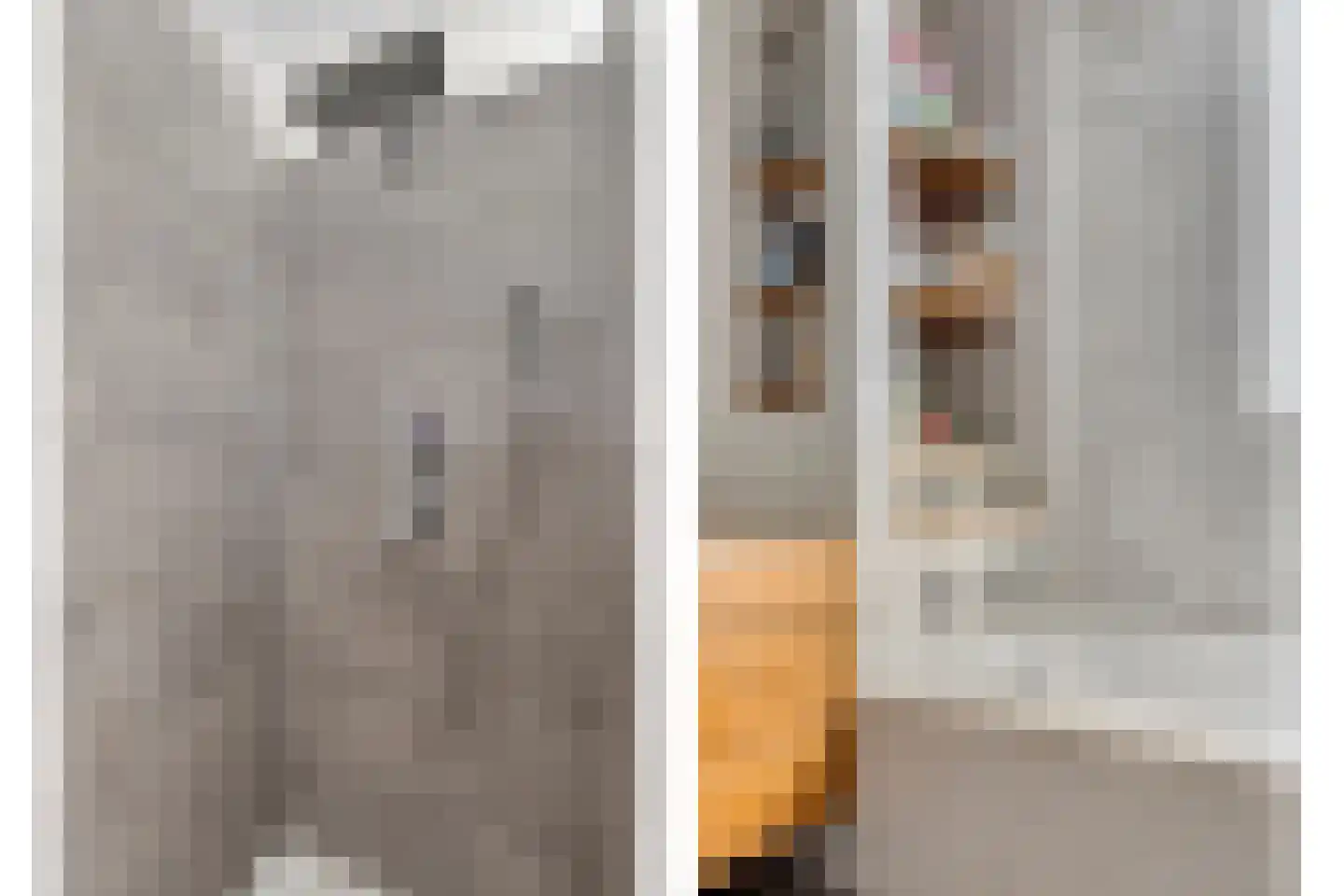 Liniestraat 303 Hulst thumbnail 25