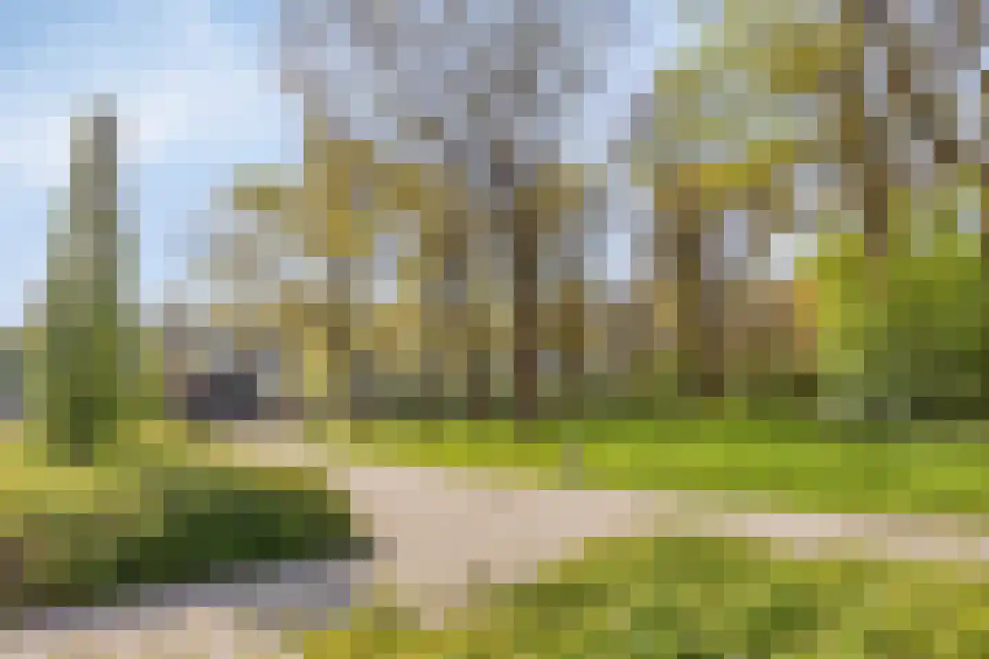 Liniestraat 303 Hulst thumbnail 36
