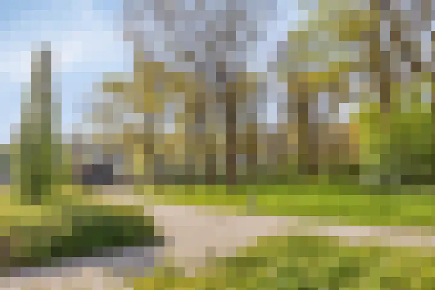 Liniestraat 303 Hulst thumbnail 36