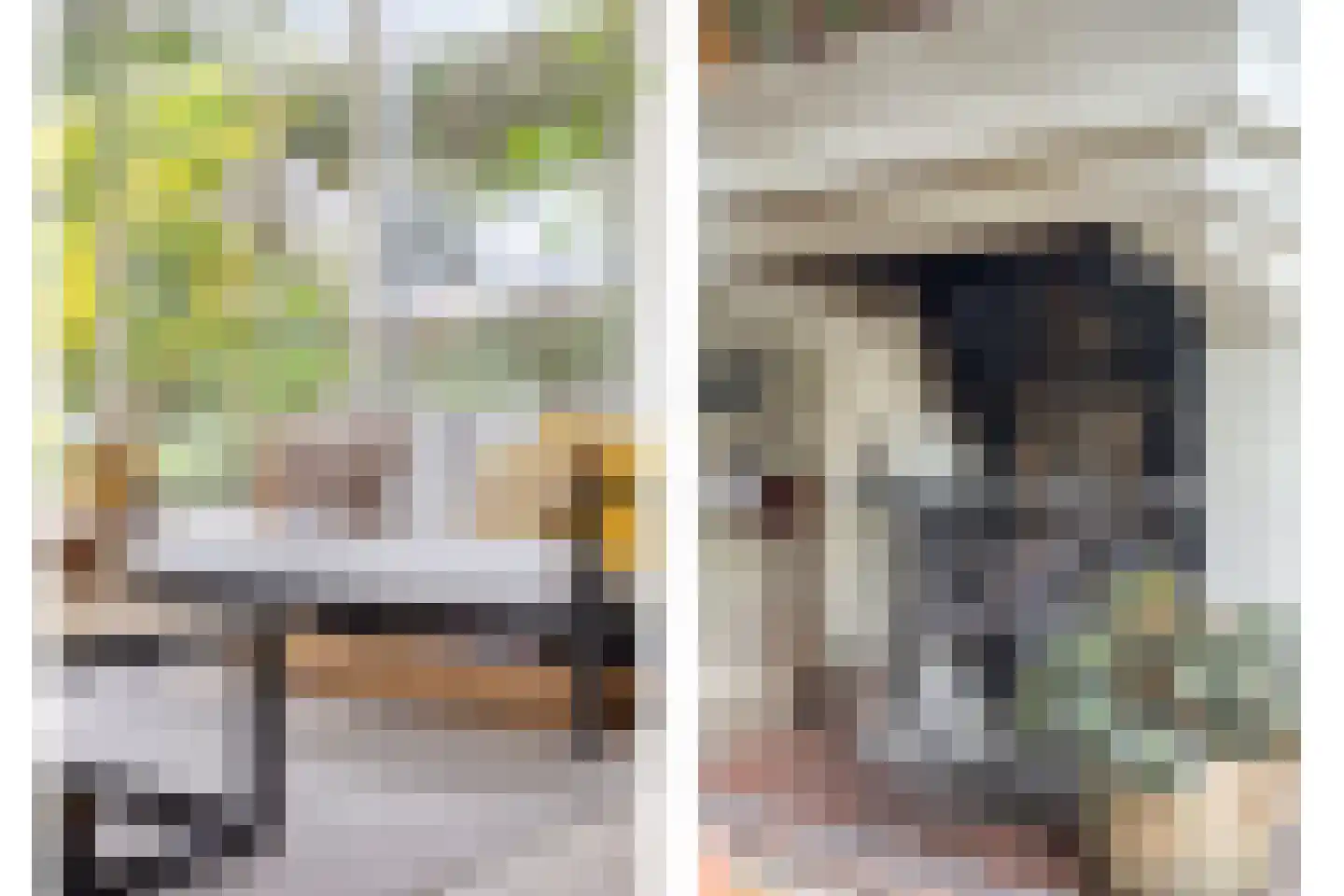 Liniestraat 4 Hulst thumbnail 10