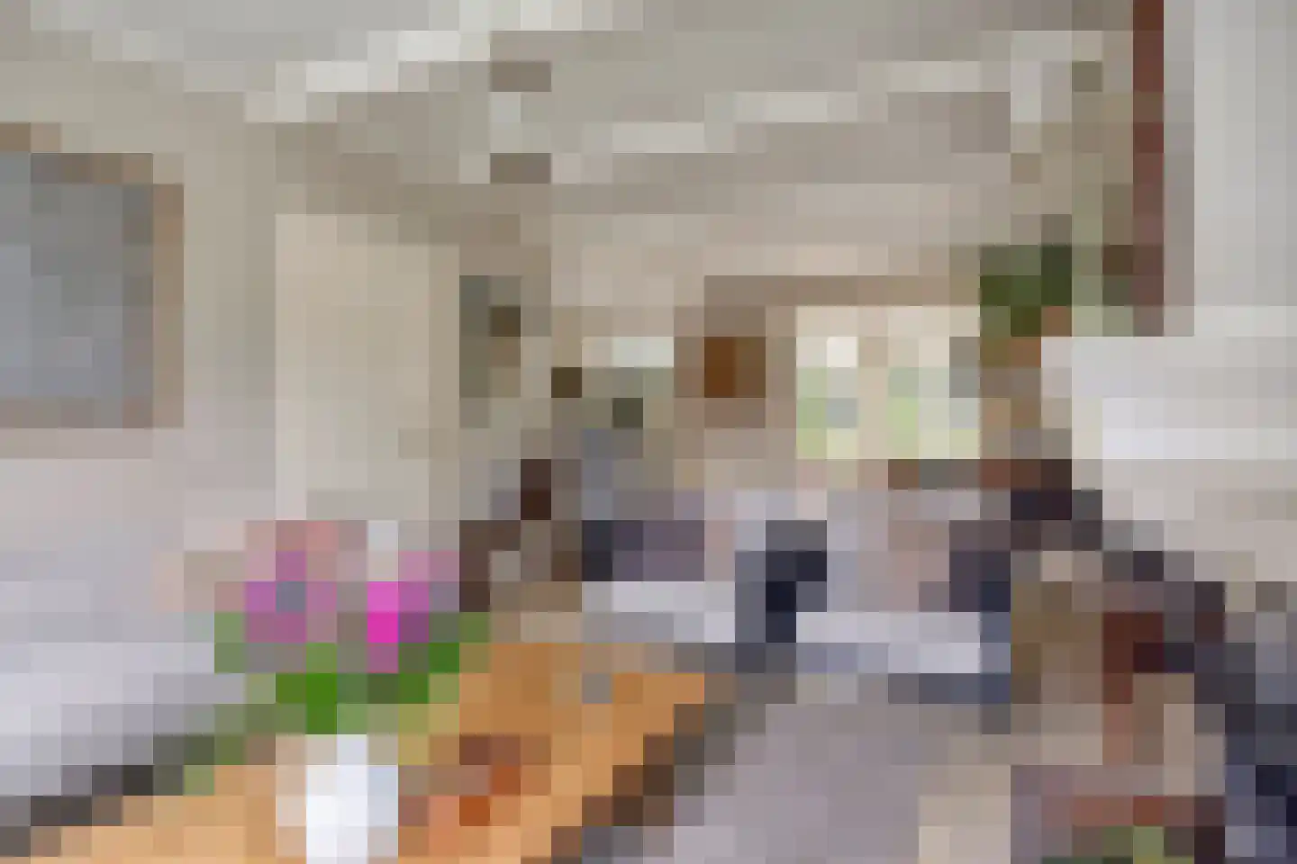 Liniestraat 4 Hulst thumbnail 11