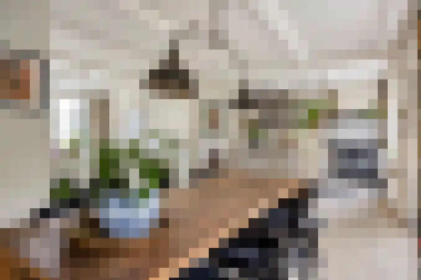 Liniestraat 4 Hulst thumbnail 13