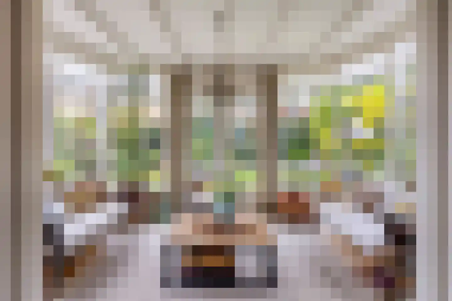 Liniestraat 4 Hulst thumbnail 14
