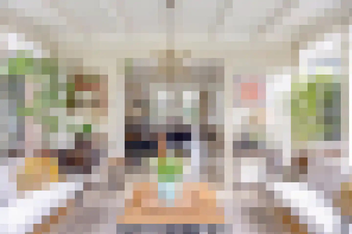 Liniestraat 4 Hulst thumbnail 15