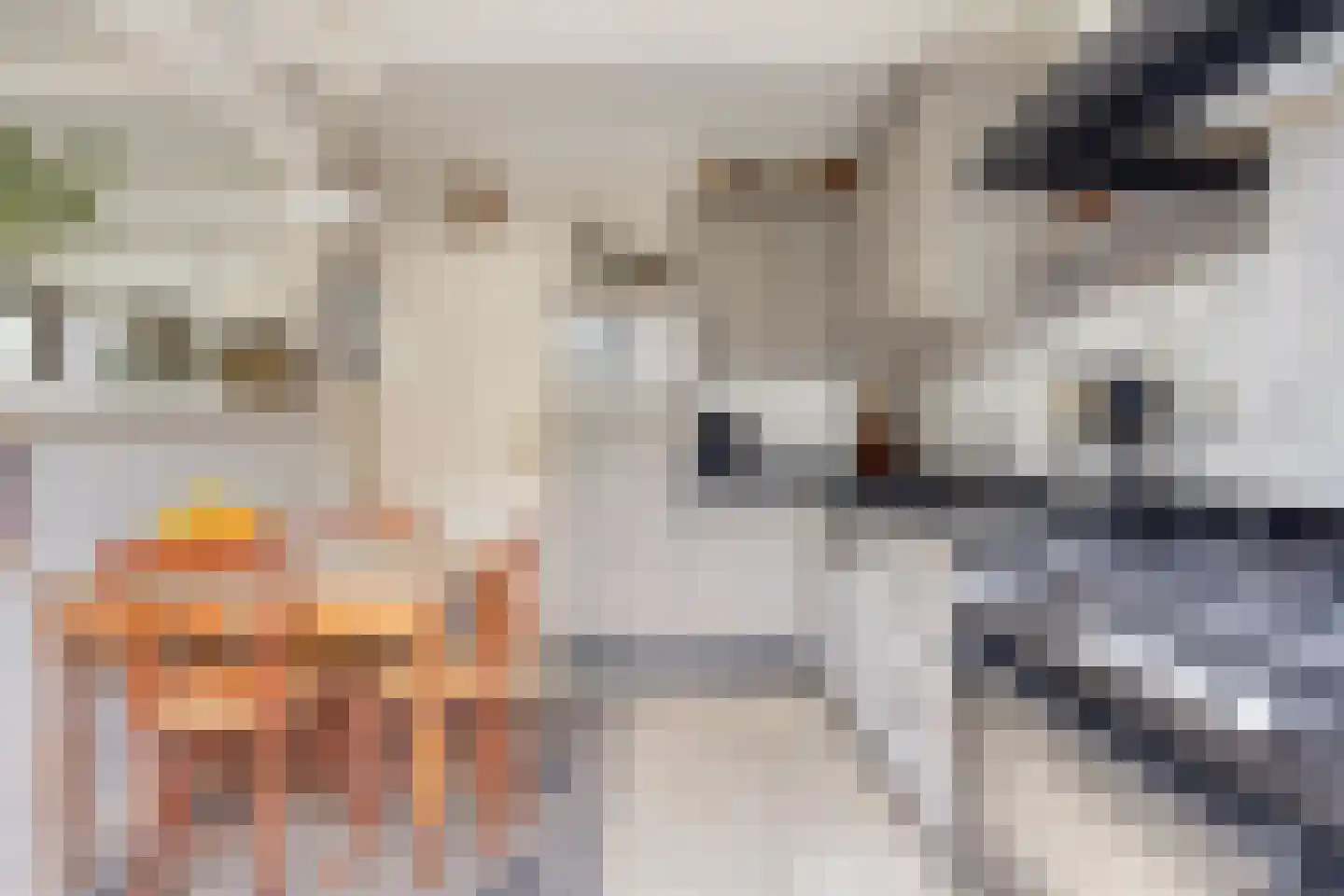 Liniestraat 4 Hulst thumbnail 17