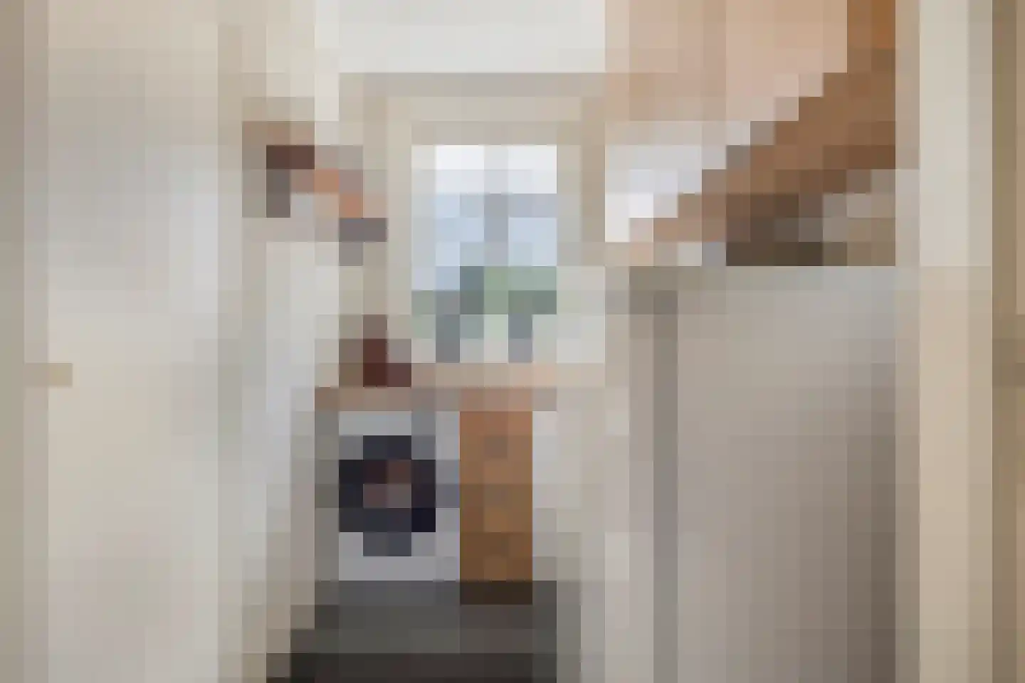 Liniestraat 4 Hulst thumbnail 19
