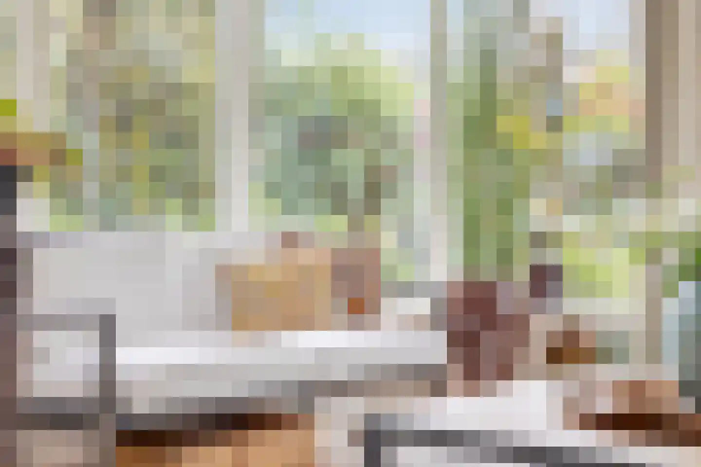 Liniestraat 4 Hulst thumbnail 21