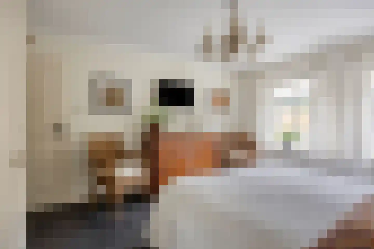 Liniestraat 4 Hulst thumbnail 25