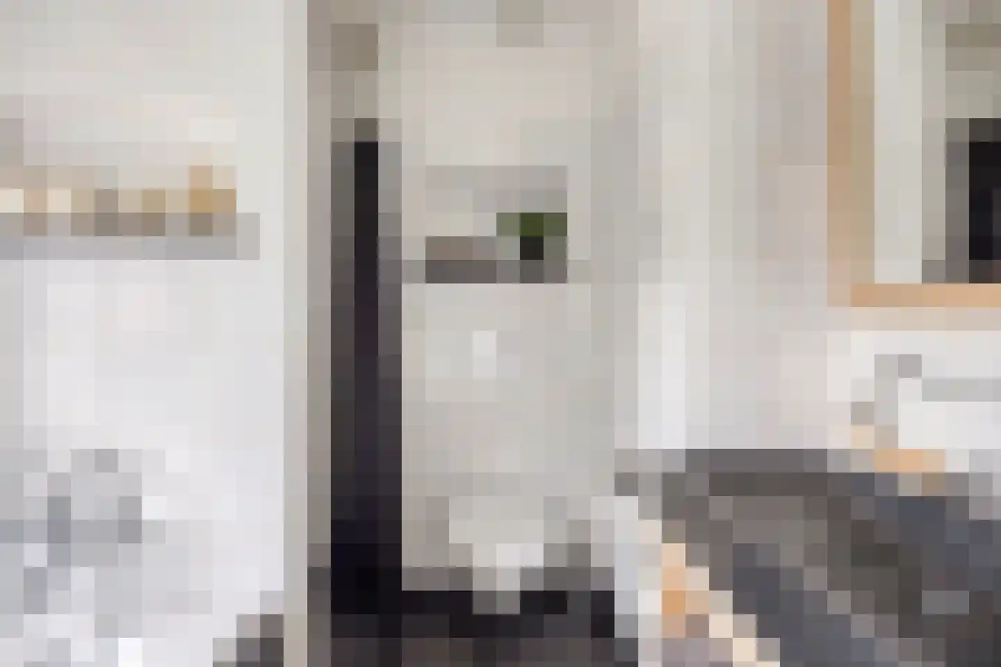 Liniestraat 4 Hulst thumbnail 26