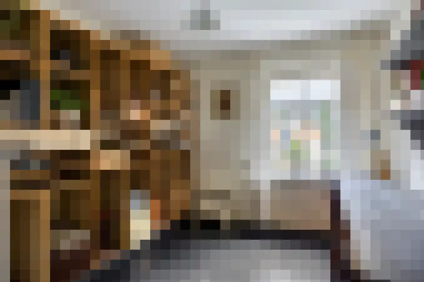 Liniestraat 4 Hulst thumbnail 32