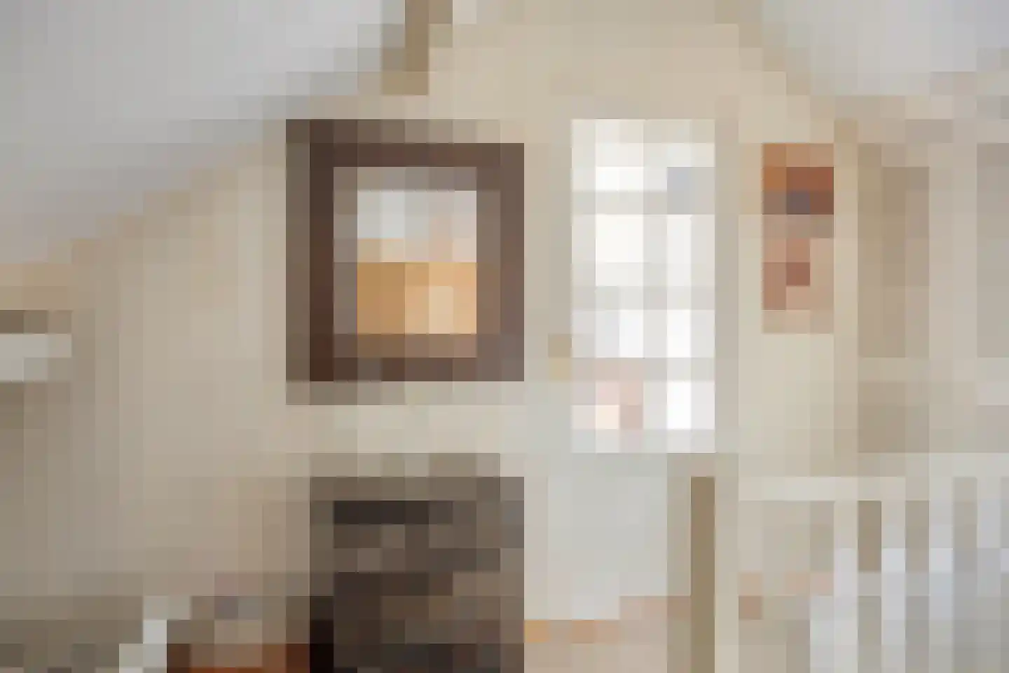 Liniestraat 4 Hulst thumbnail 36