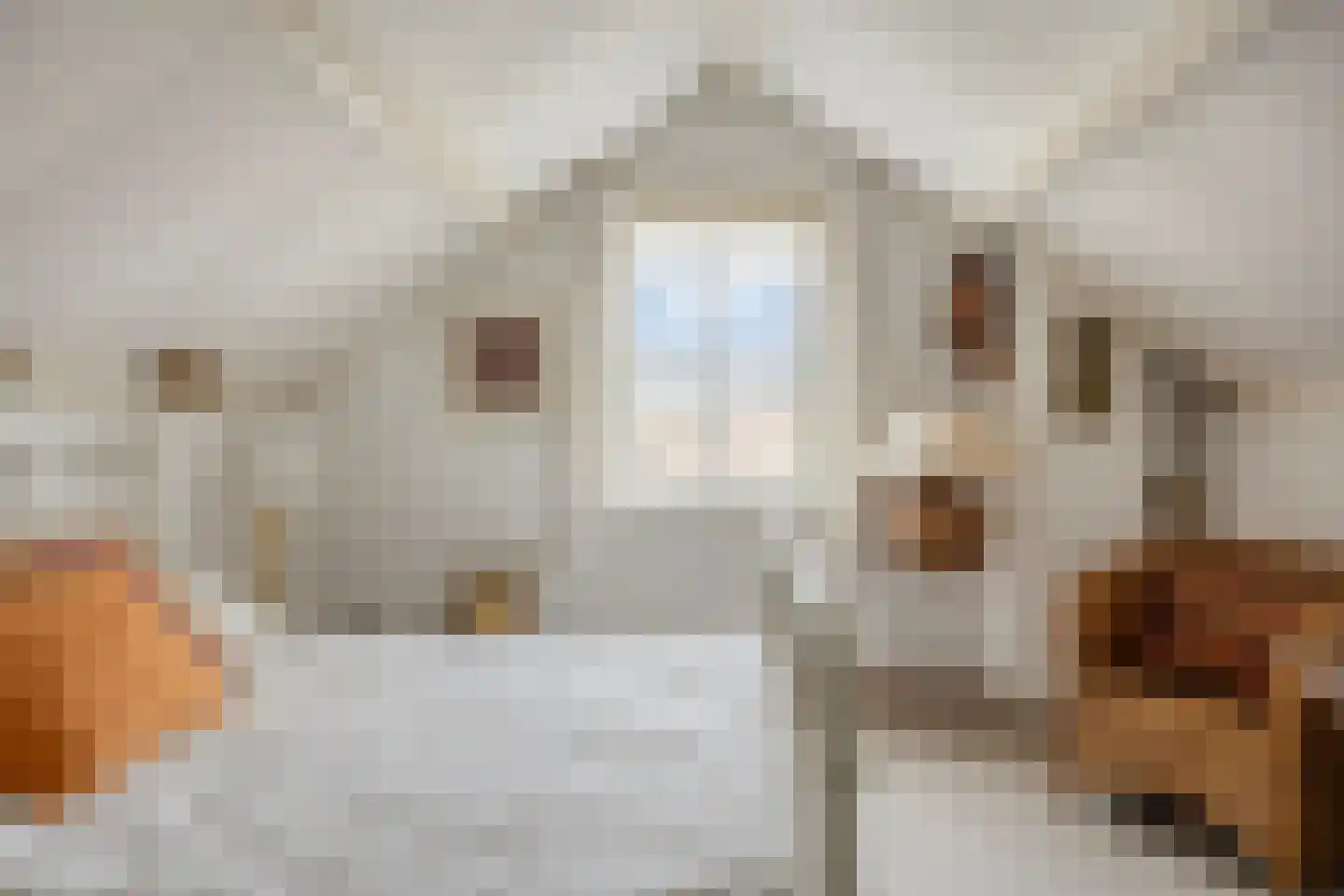 Liniestraat 4 Hulst thumbnail 37