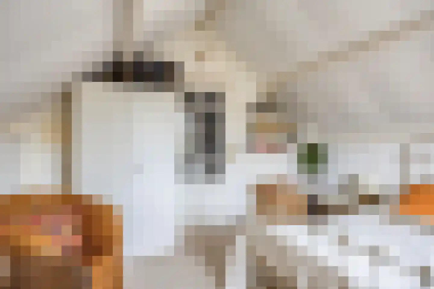 Liniestraat 4 Hulst thumbnail 38