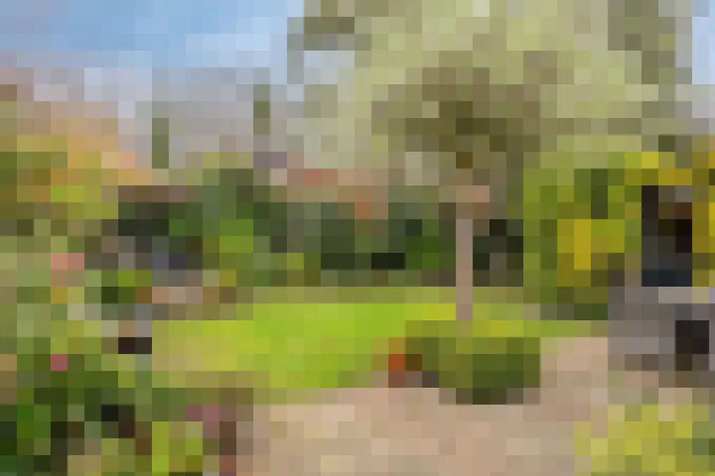 Liniestraat 4 Hulst thumbnail 43