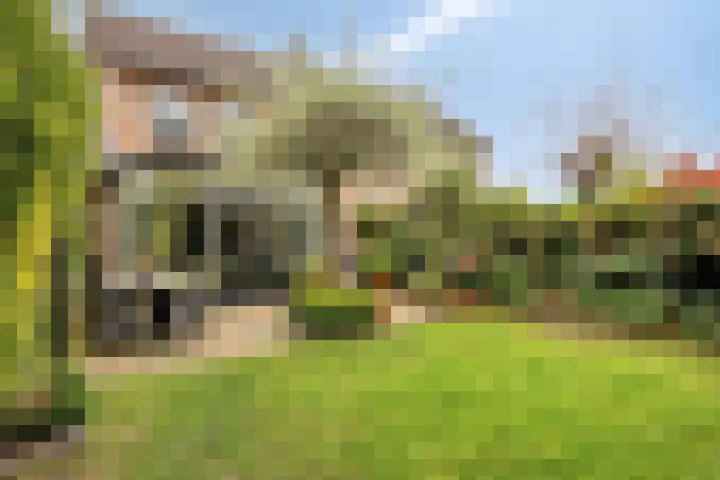 Liniestraat 4 Hulst thumbnail 45