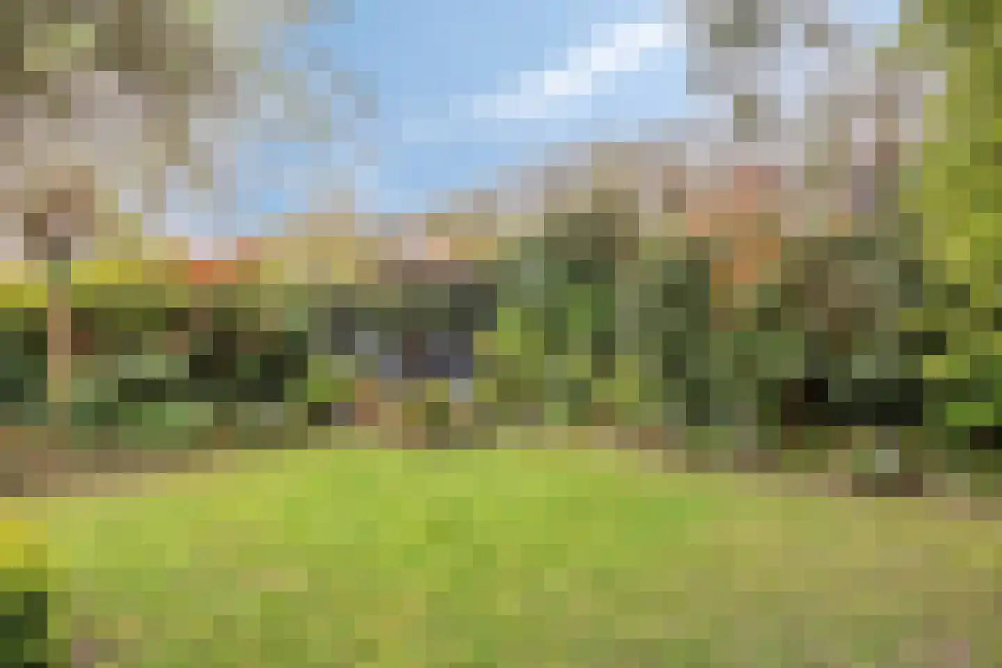 Liniestraat 4 Hulst thumbnail 46