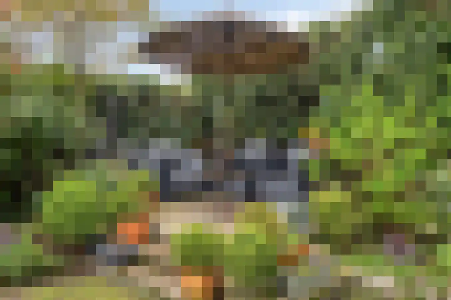 Liniestraat 4 Hulst thumbnail 48