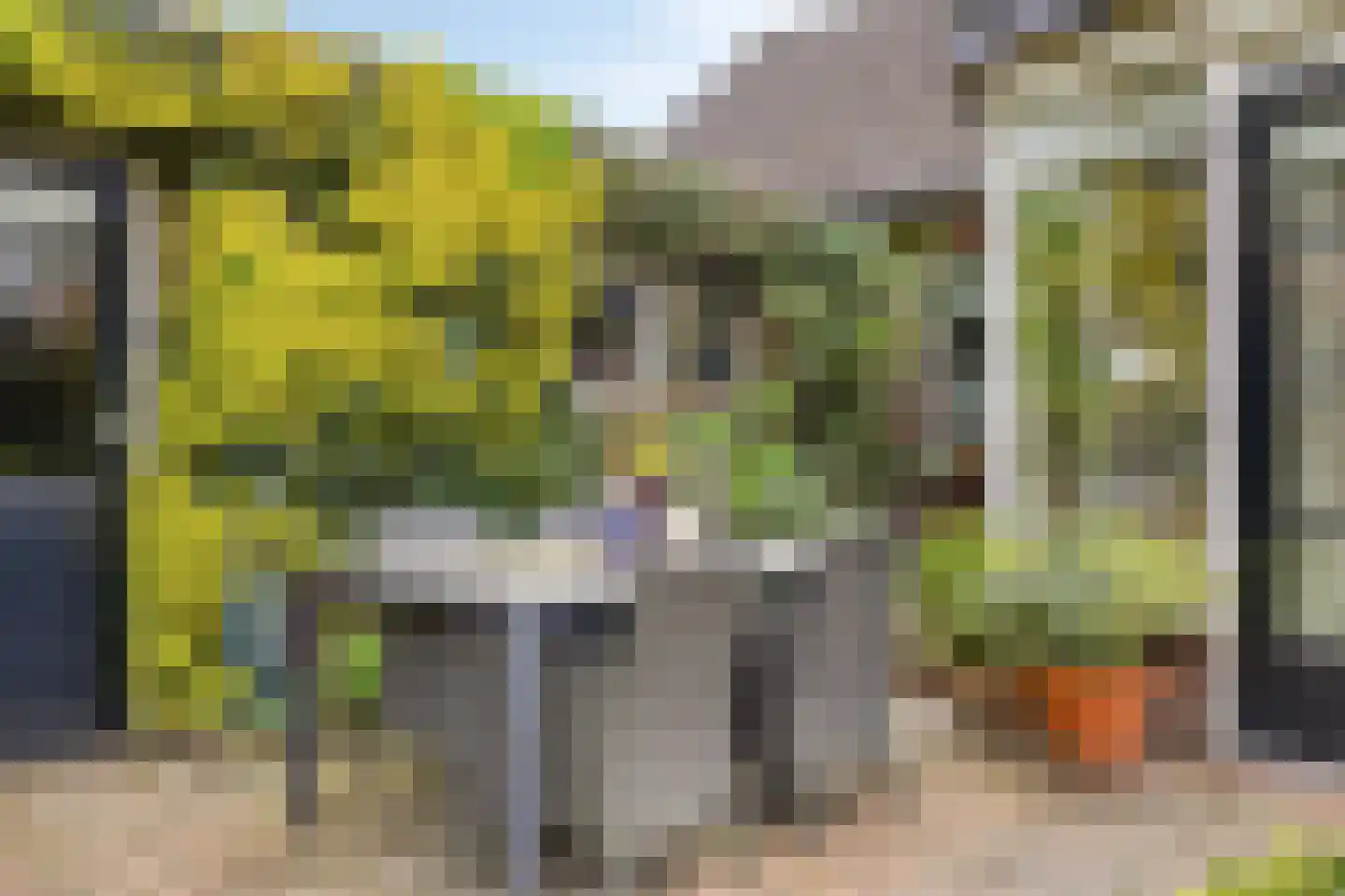 Liniestraat 4 Hulst thumbnail 49