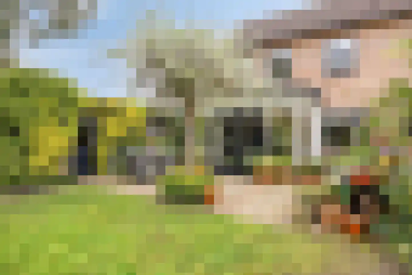 Liniestraat 4 Hulst thumbnail 50