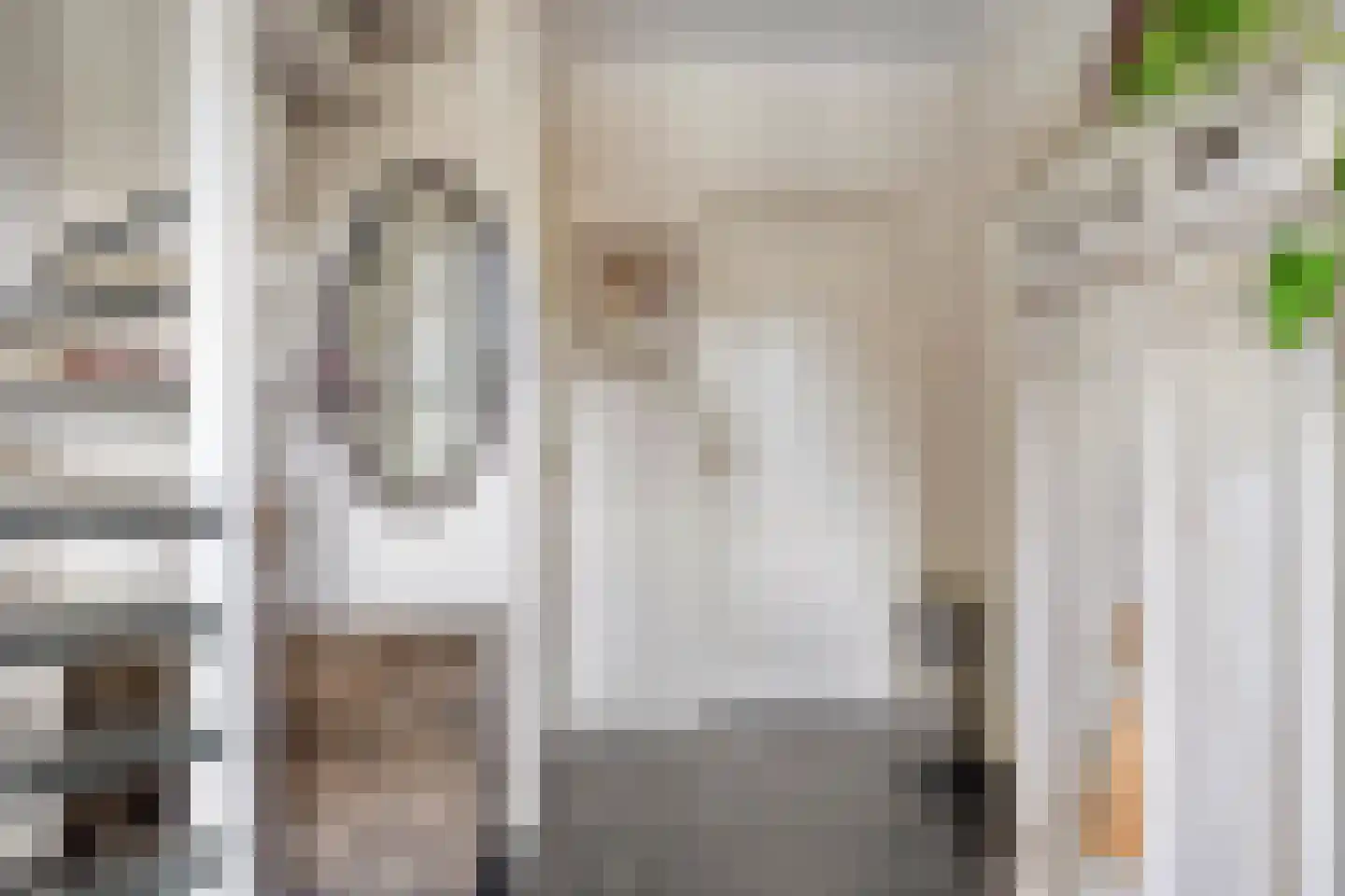 Liniestraat 4 Hulst thumbnail 6
