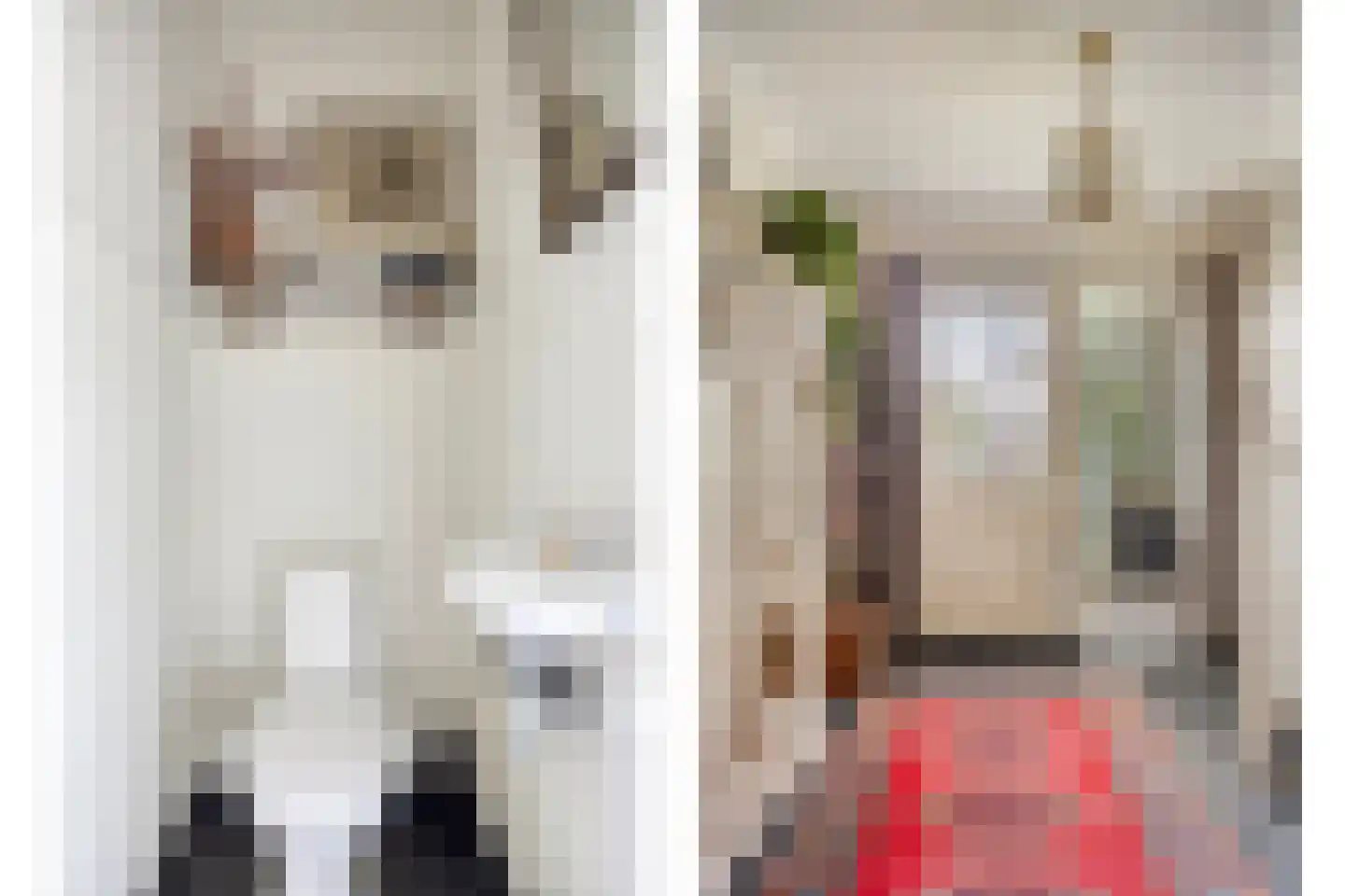 Liniestraat 4 Hulst thumbnail 8