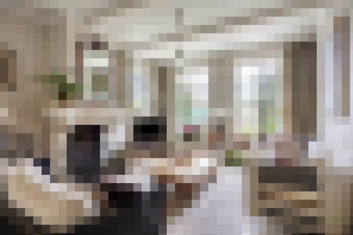 Liniestraat 4 Hulst thumbnail 9