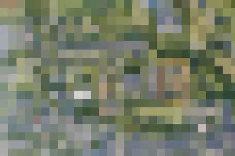 Liniestraat 4 Ochten thumbnail 5