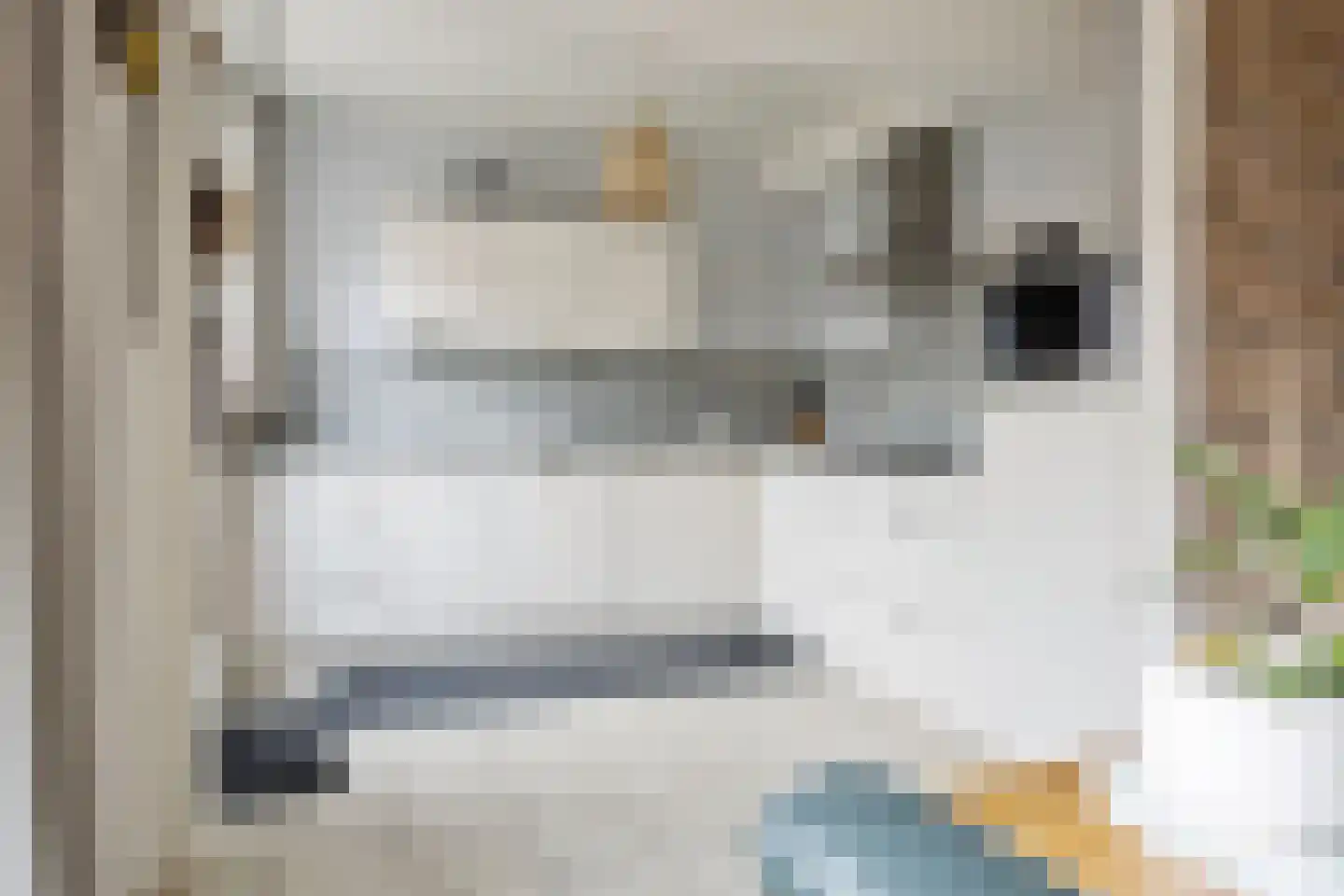 Liniestraat 57 Hulst thumbnail 10