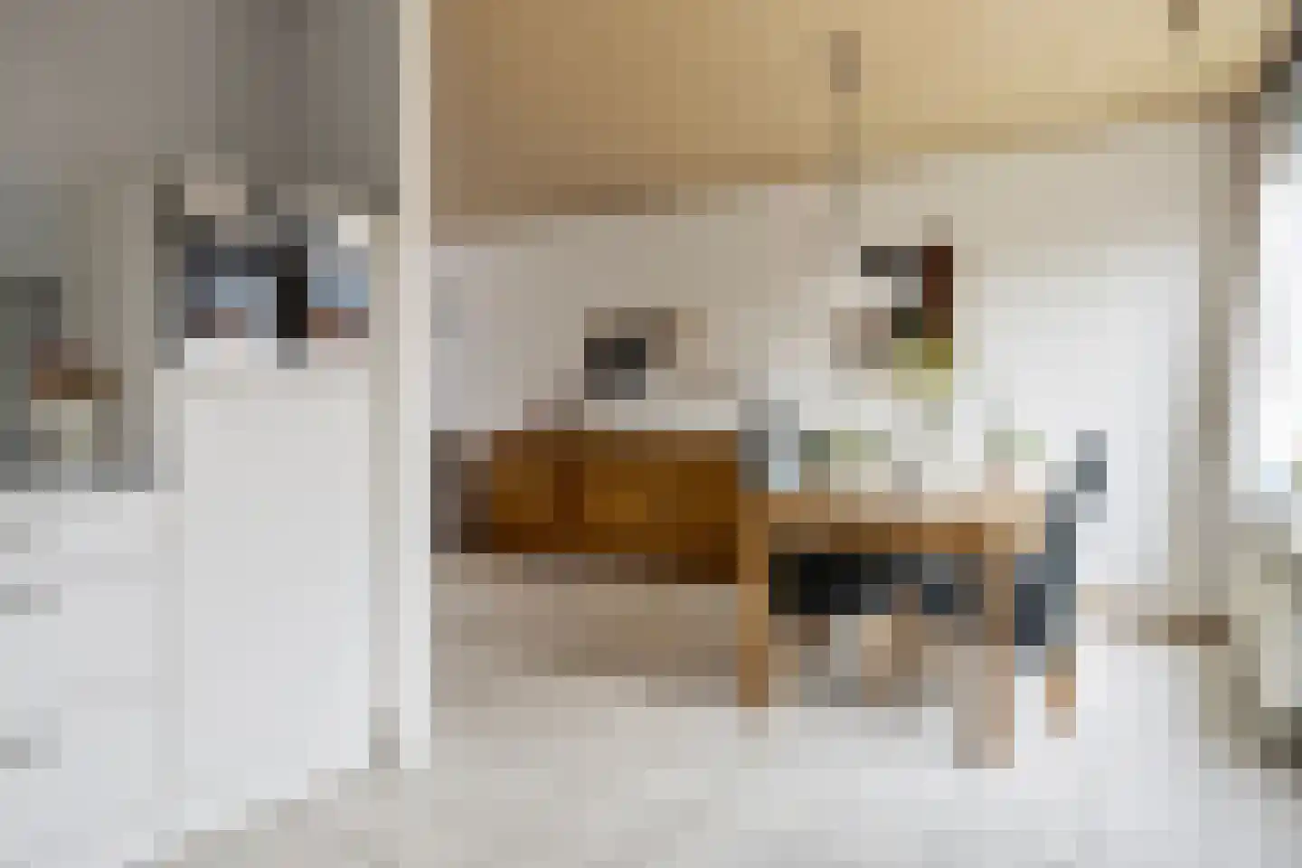 Liniestraat 57 Hulst thumbnail 14