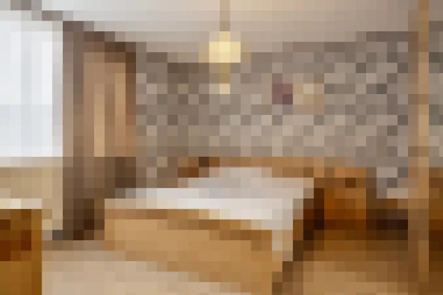Liniestraat 57 Hulst thumbnail 16