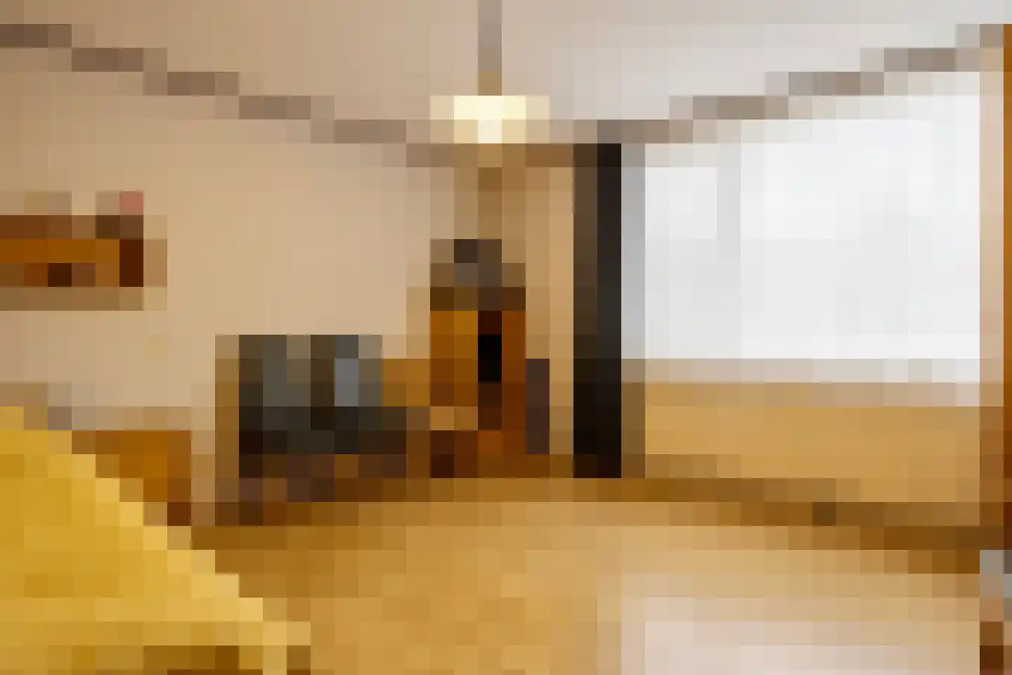 Liniestraat 57 Hulst thumbnail 22