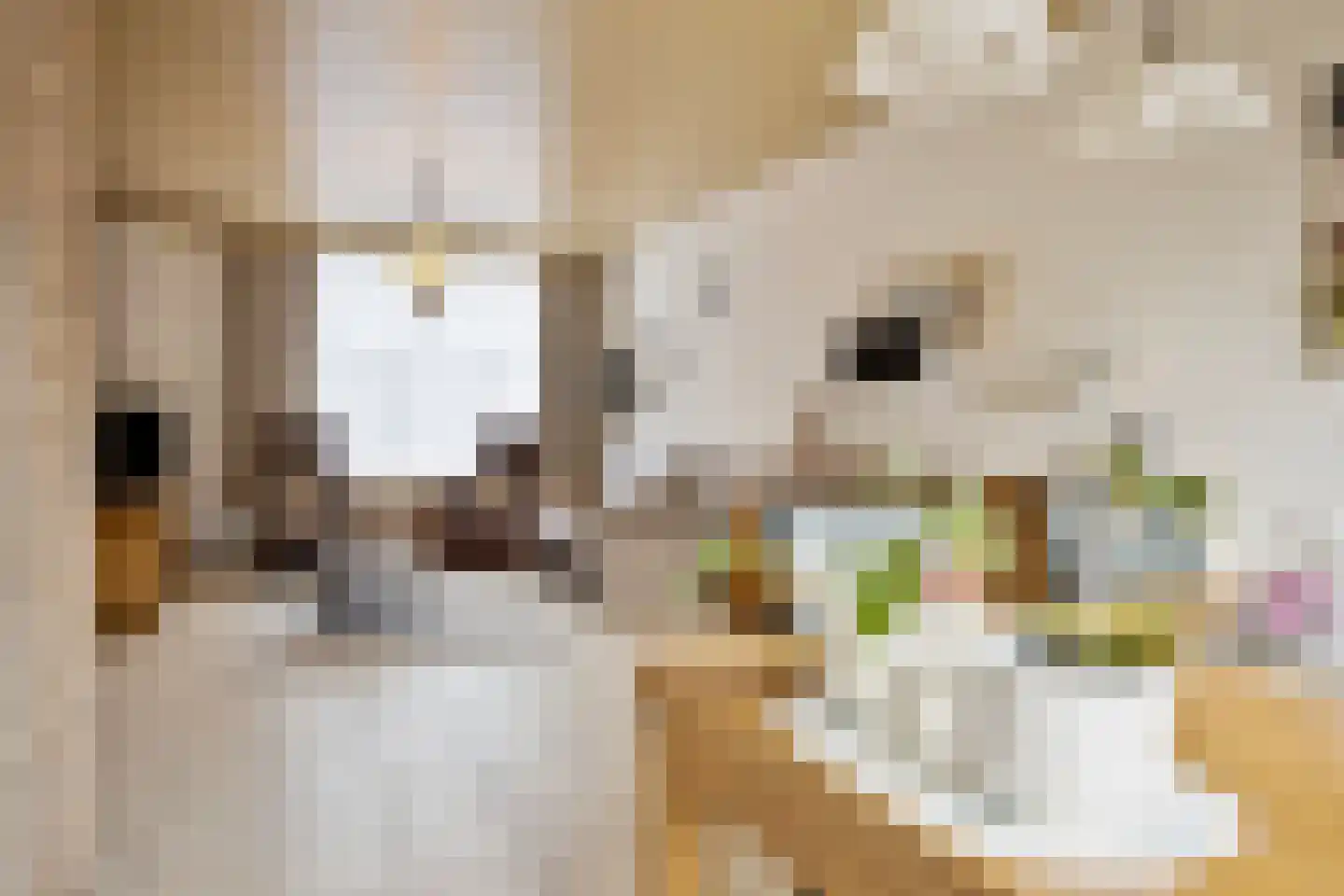 Liniestraat 57 Hulst thumbnail 8