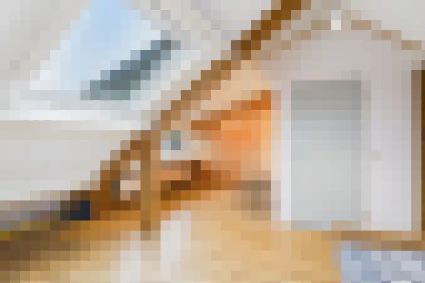 Liniestraat 61 Hulst thumbnail 21