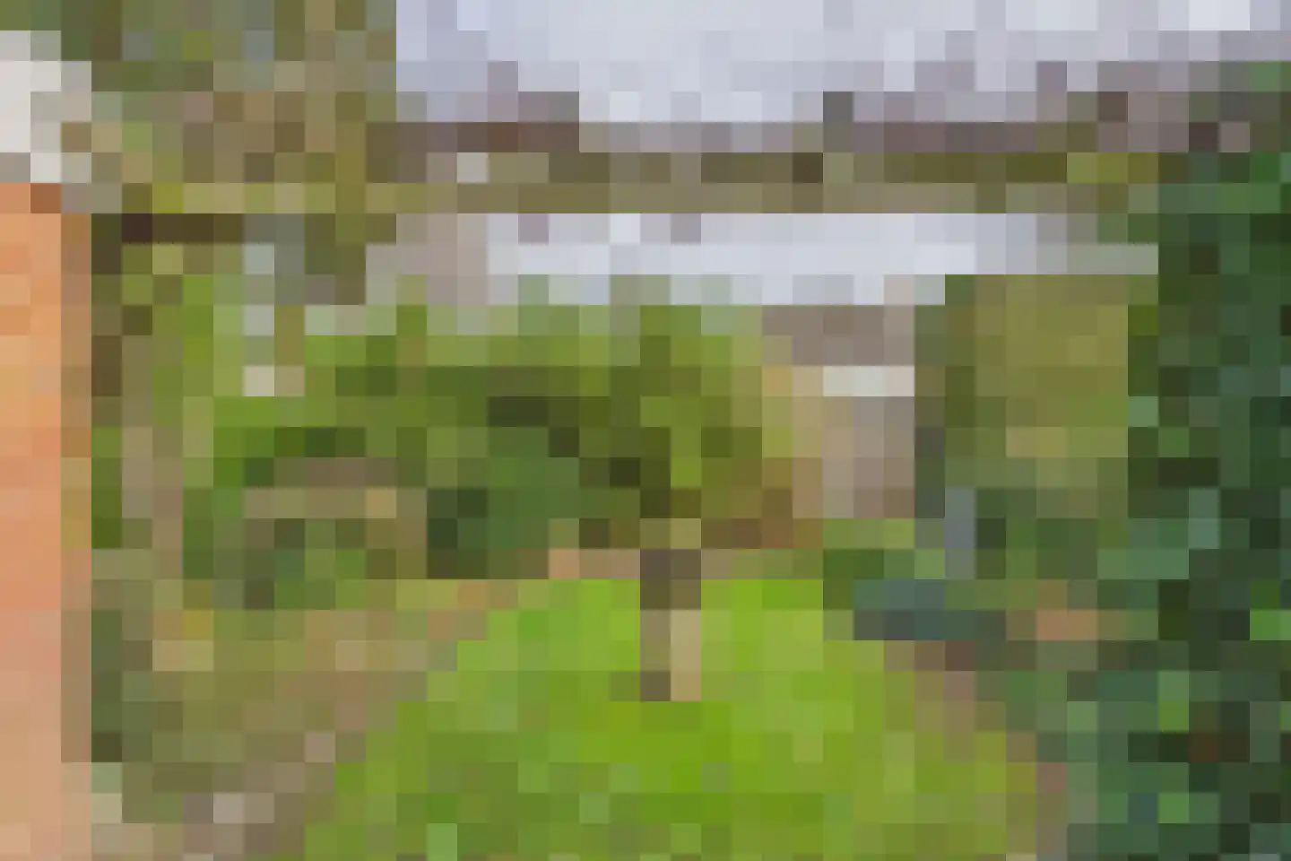 Liniestraat 61 Hulst thumbnail 25