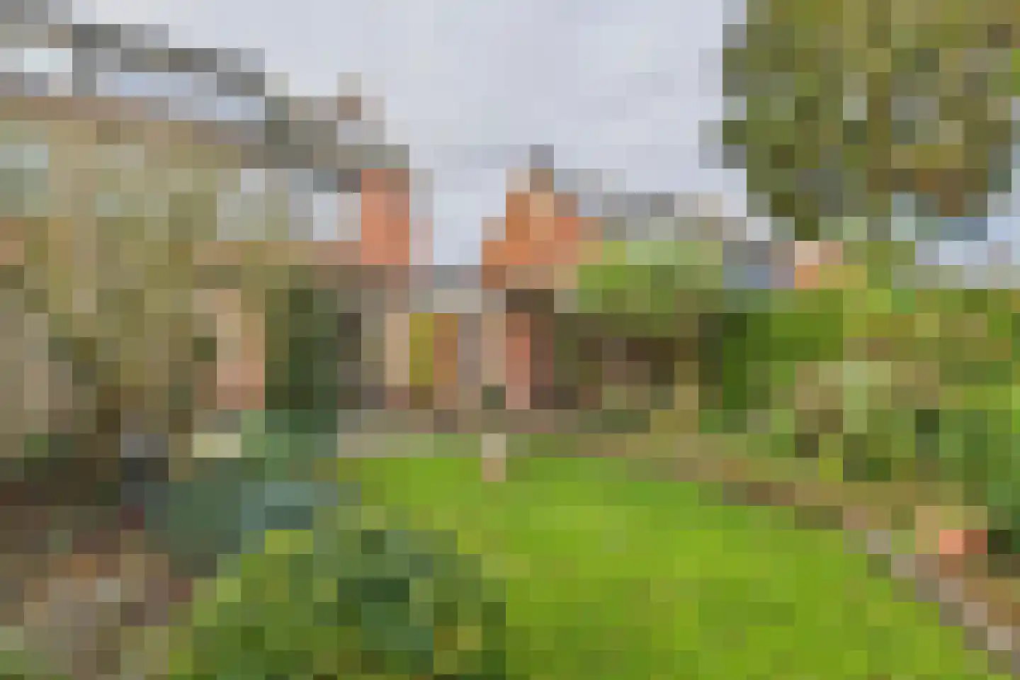 Liniestraat 61 Hulst thumbnail 26