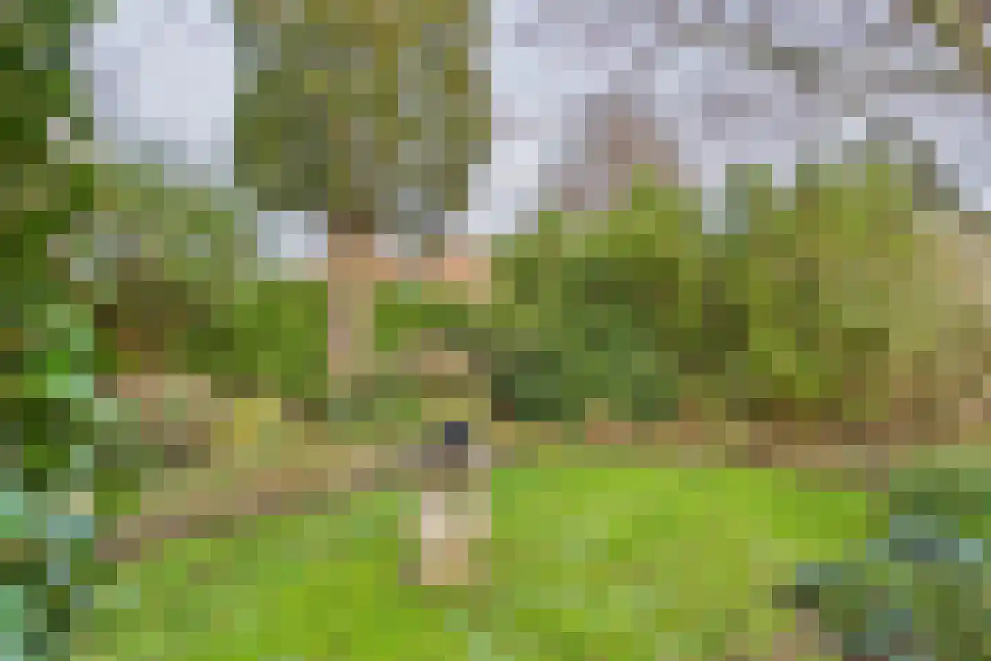 Liniestraat 61 Hulst thumbnail 27