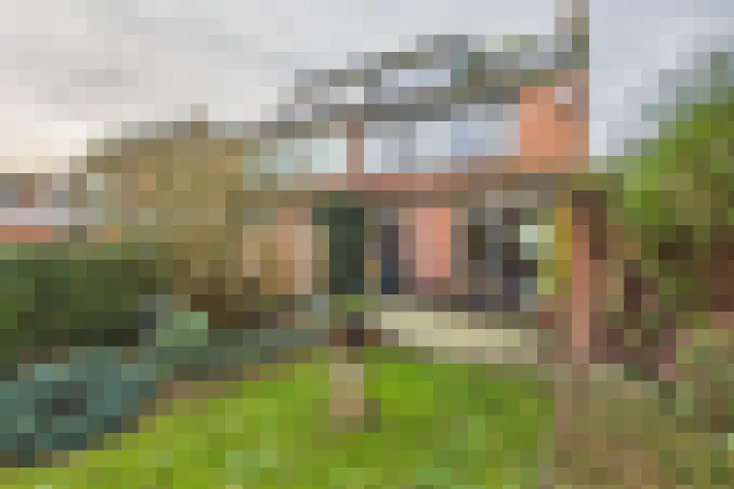 Liniestraat 61 Hulst thumbnail 4