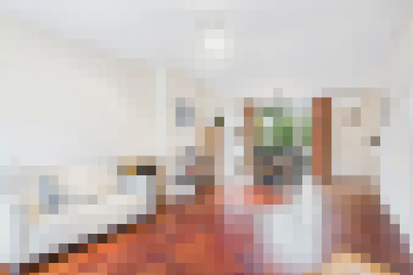 Liniestraat 61 Hulst thumbnail 7