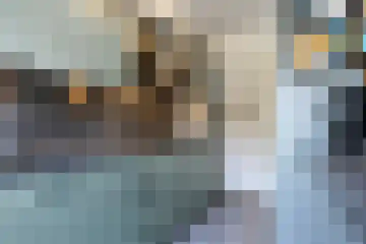 Liniestraat 72 Hulst thumbnail 10