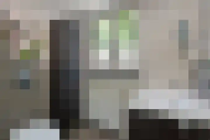 Liniestraat 72 Hulst thumbnail 18
