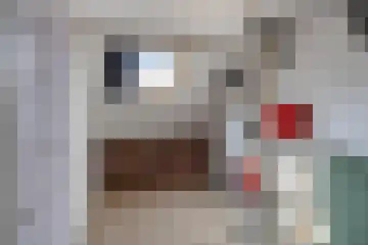 Liniestraat 72 Hulst thumbnail 21