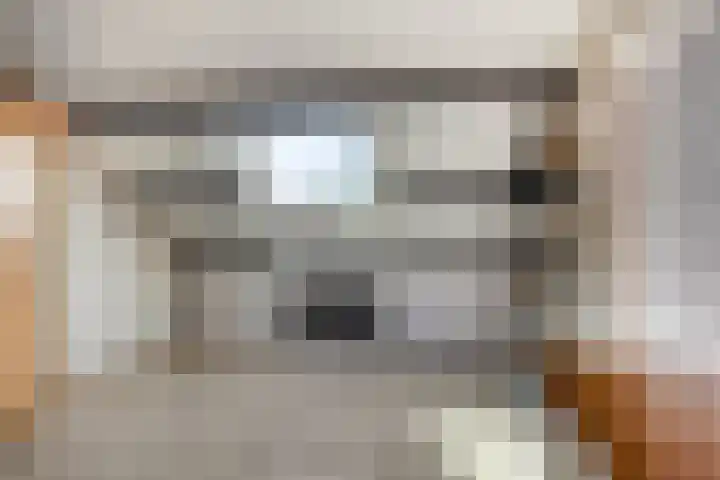 Liniestraat 72 Hulst thumbnail 22