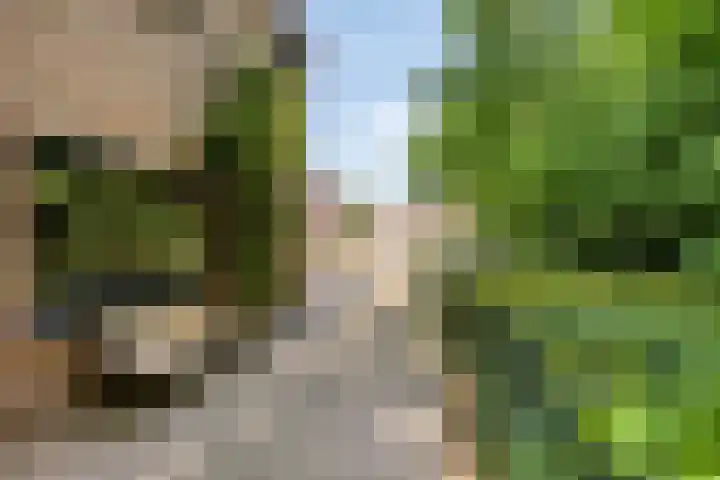 Liniestraat 72 Hulst thumbnail 31