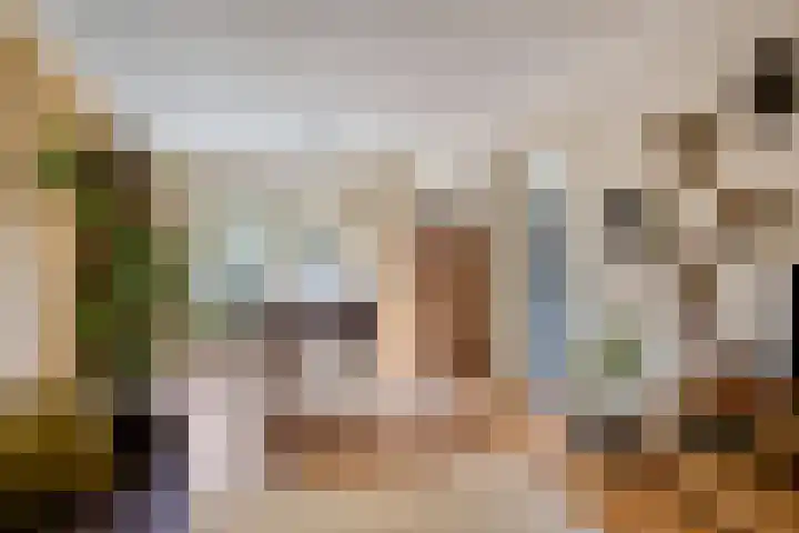 Liniestraat 72 Hulst thumbnail 5
